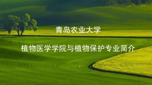 中国yl6776永利植物保护专业介绍
